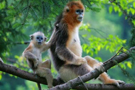 宜昌神農架旅游線路預定