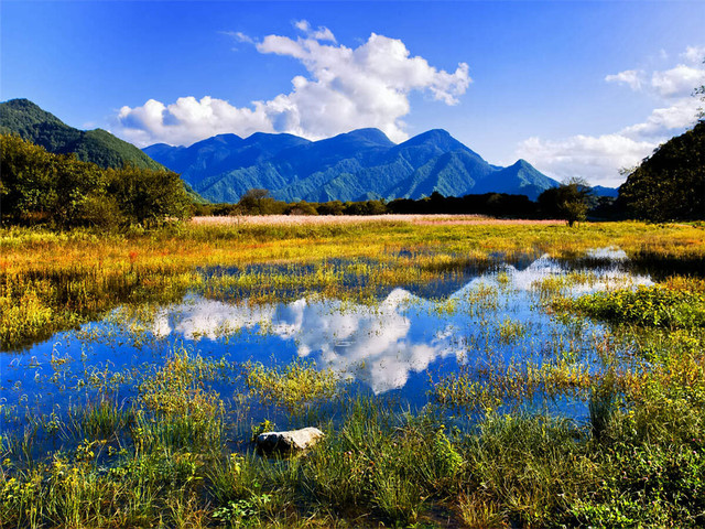 宜昌神農(nóng)架旅游直通車