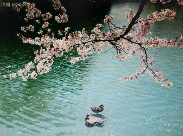 長(zhǎng)江三峽精華景點(diǎn)旅游