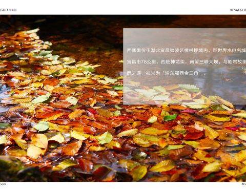 宜昌西塞國森林公園旅游指南