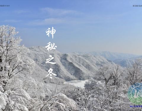 宜昌西塞國森林公園旅游指南