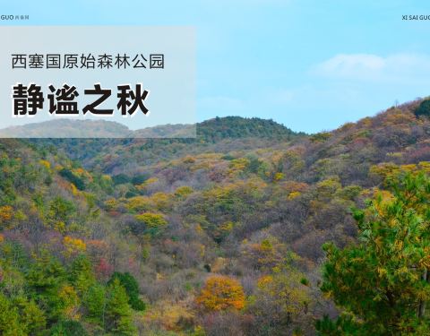 宜昌西塞國森林公園旅游指南