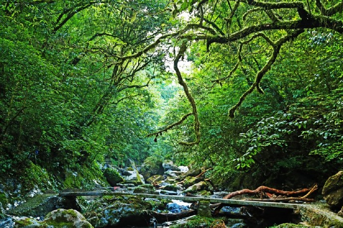 后河自然保護區(qū)旅游攻略