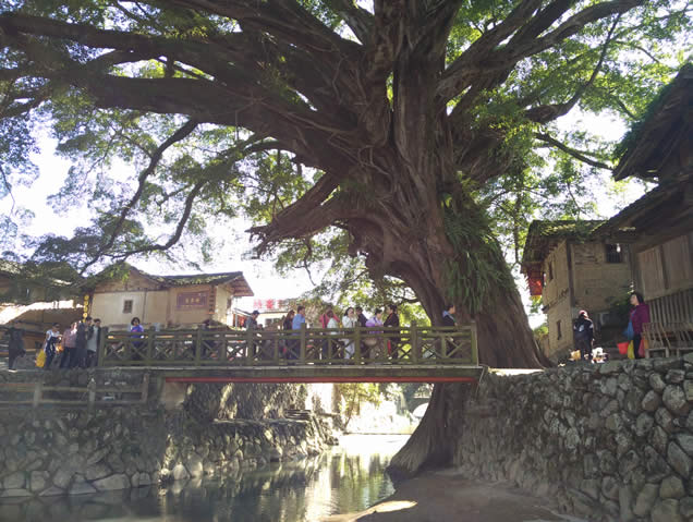 宜昌到廈門云水謠旅游線路 宜昌到廈門云水謠旅游線路