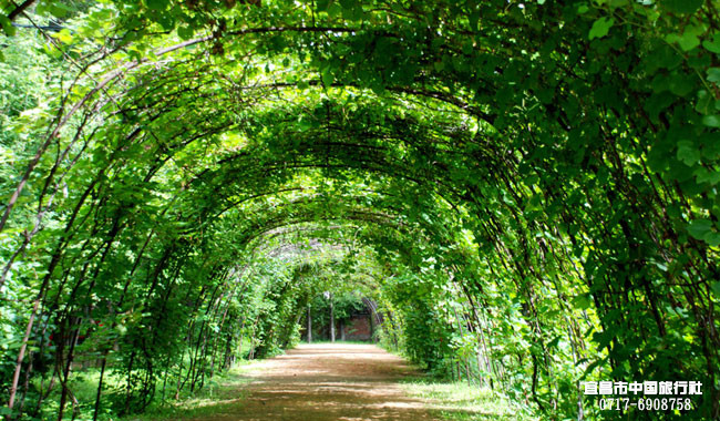 宜昌旅游年卡網(wǎng) 宜昌旅游年卡網(wǎng)