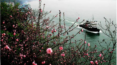 宜昌旅游年卡網(wǎng)