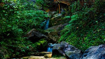 宜昌九鳳谷旅游直通車(chē) 宜昌九鳳谷旅游直通車(chē)