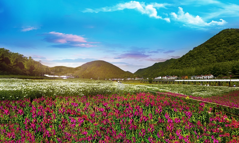 宜昌三峽奇潭旅游咨詢中心