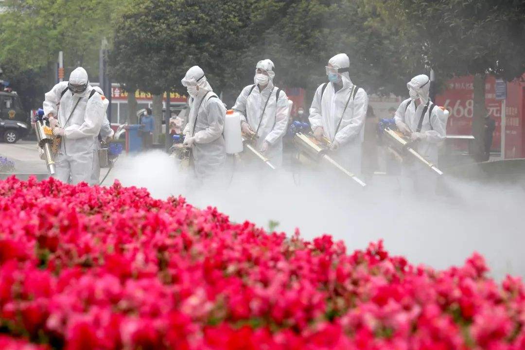 宜昌市對車船港站進行全面消殺