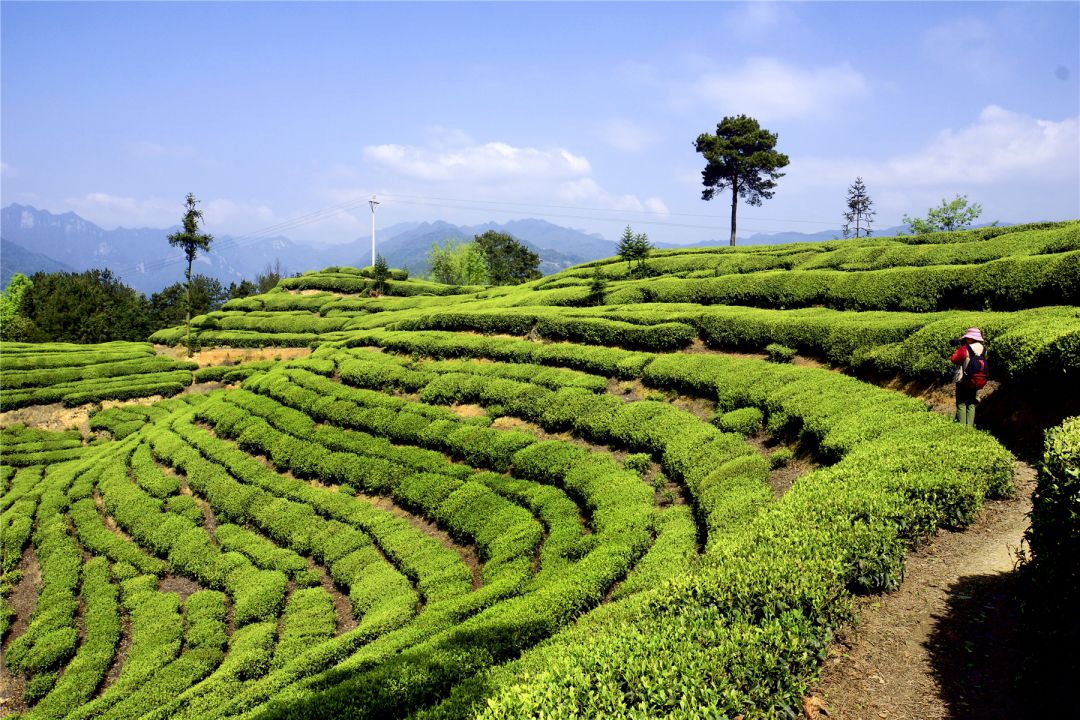 宜昌周邊旅游線路