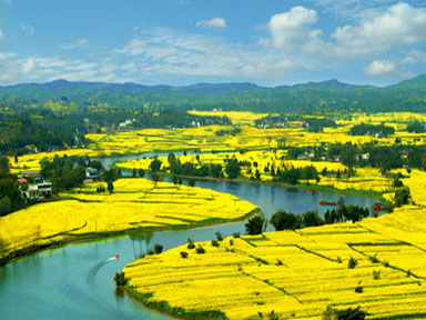 宜昌枝江旅游網(wǎng)