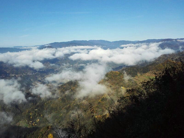 宜昌中亞楠木林大峽谷景區 