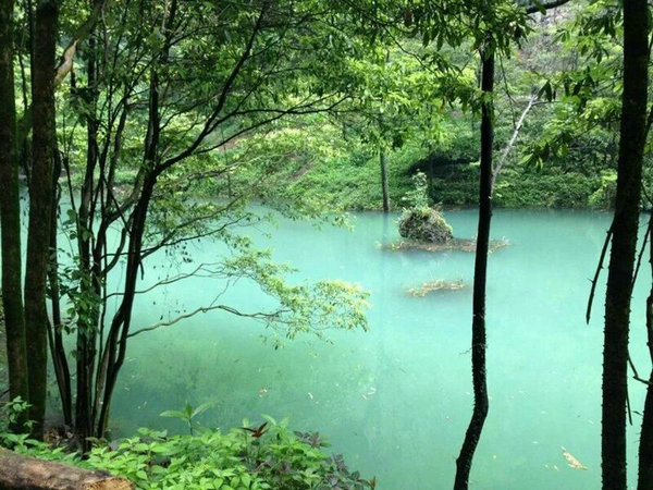 宜昌中亞楠木林大峽谷景區 