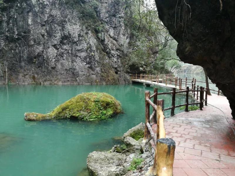 宜昌中亞楠木林大峽谷景區 