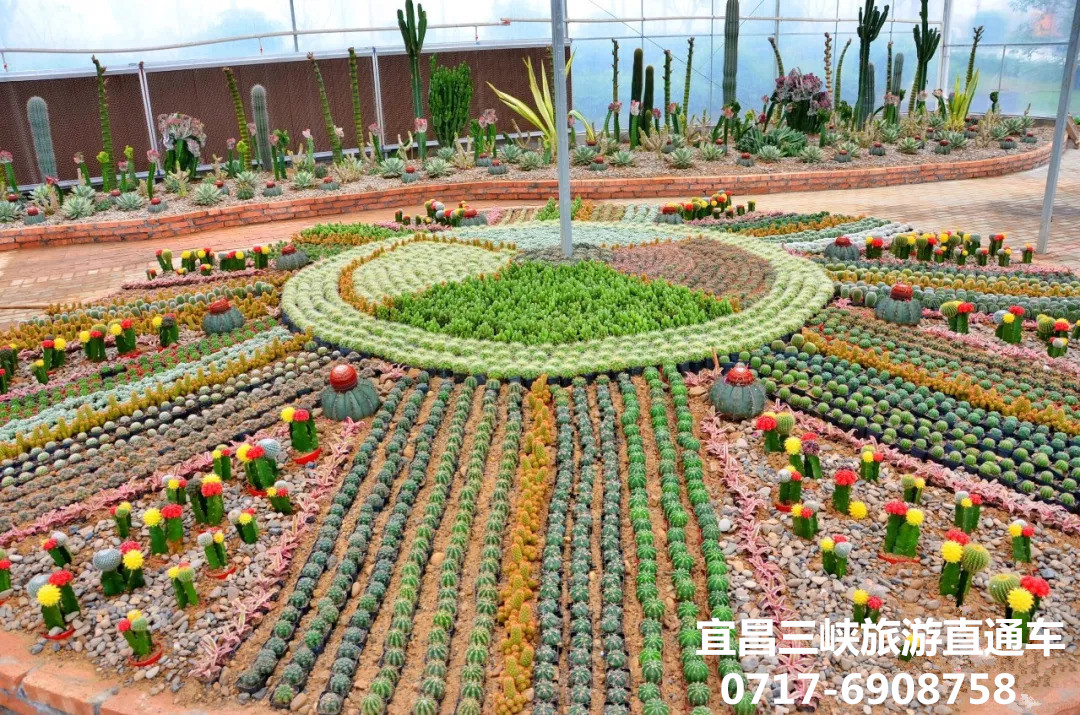 枝江同心花海風景區門票預訂