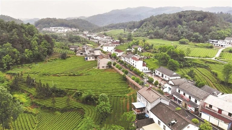 宜昌鄉村游指南