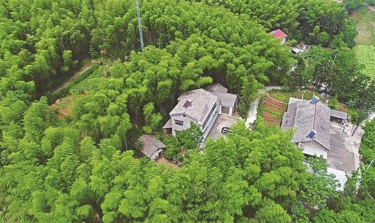 宜昌鄉村游指南 宜昌鄉村游指南