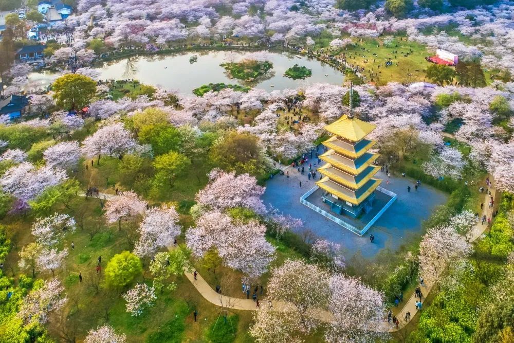 武漢東湖旅游攻略