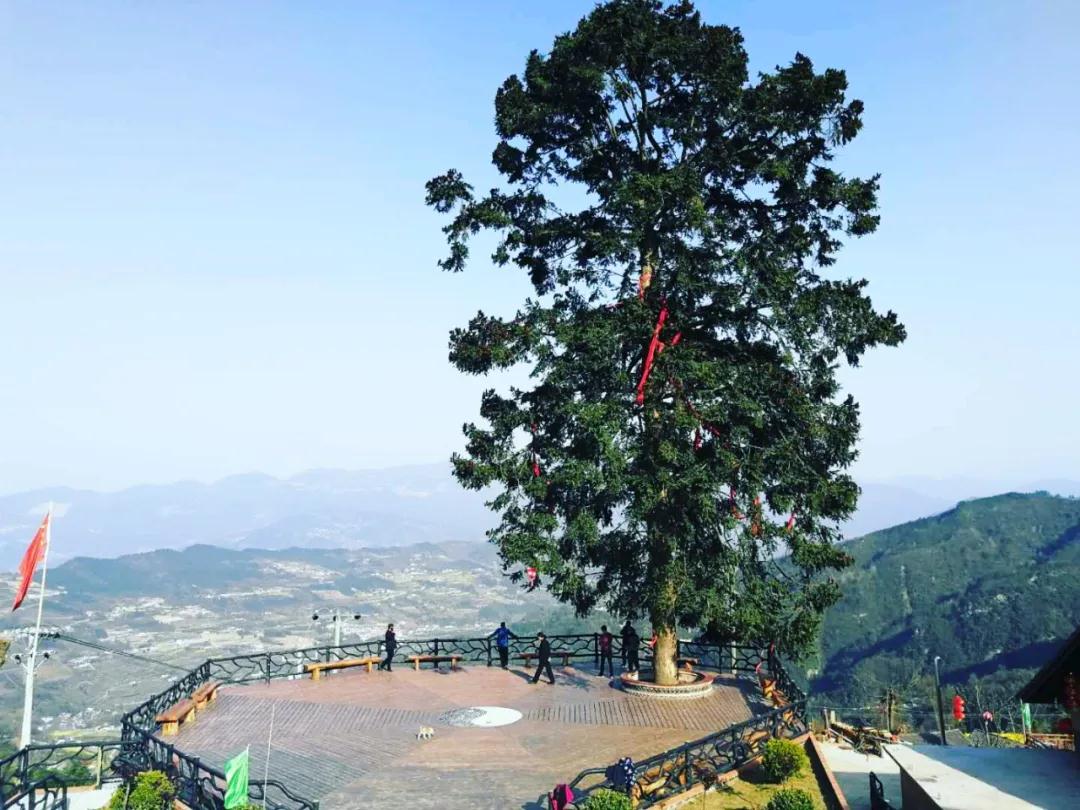 宜昌興山旅游預定網