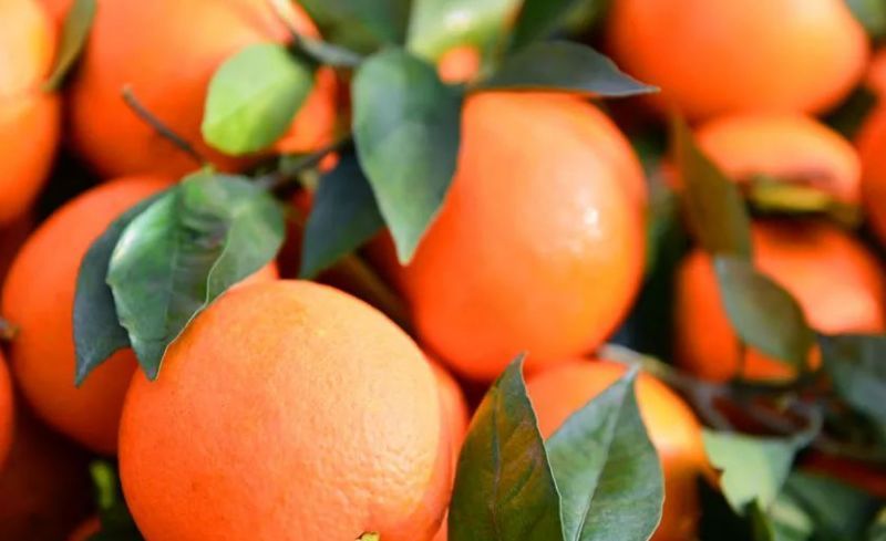 宜昌興山旅游預定網 宜昌興山旅游預定網