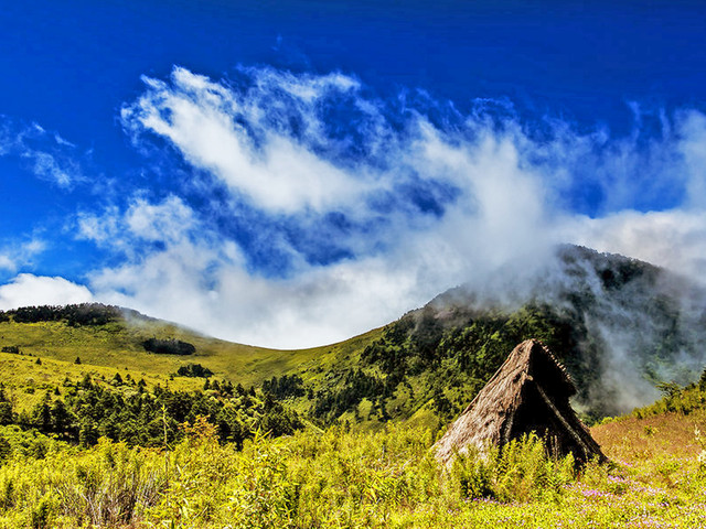 宜昌神農(nóng)架旅游攻略