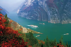 三峽紅葉旅游線路