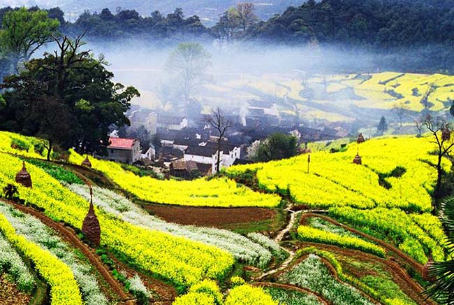 江西廬山旅游攻略