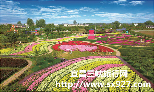 宜昌賞花旅游攻略