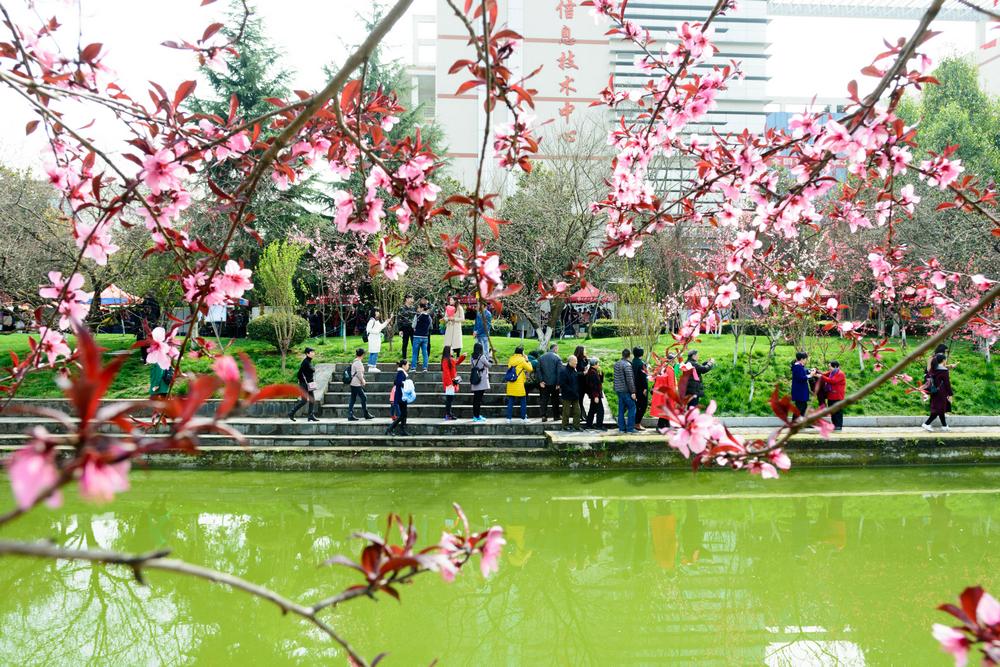 宜昌旅游網 宜昌旅游網