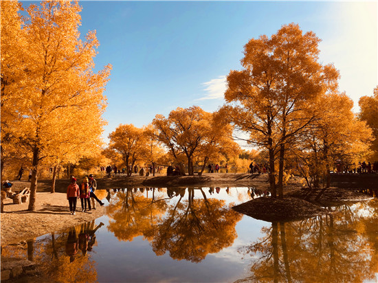 西北金塔胡楊林攻略