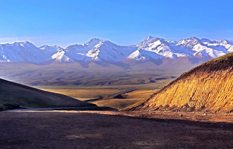 新疆那拉提旅游網(wǎng)