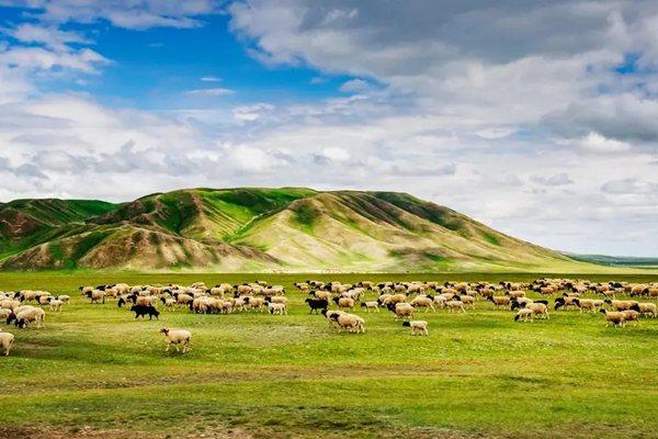 新疆那拉提旅游網(wǎng)