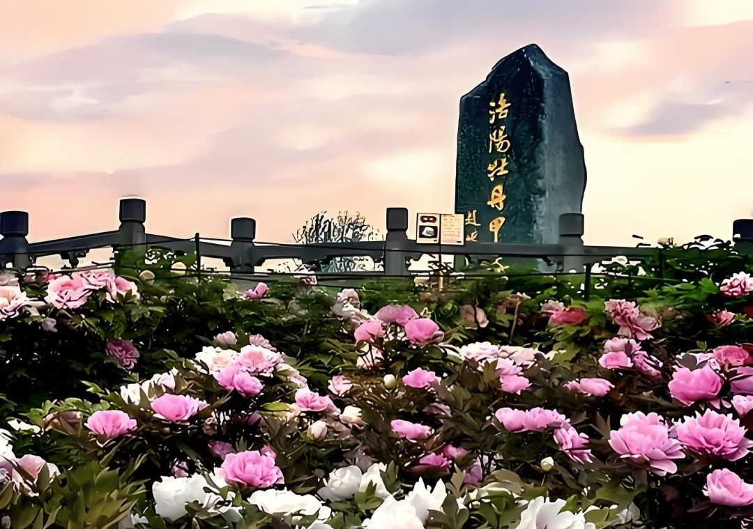 河南洛陽旅游網