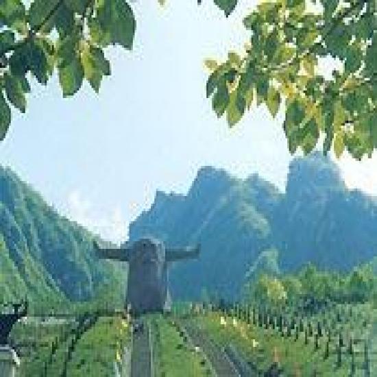 宜昌襄陽武當(dāng)山神農(nóng)架武漢四日游線路價(jià)格（宜昌神武線四日游）