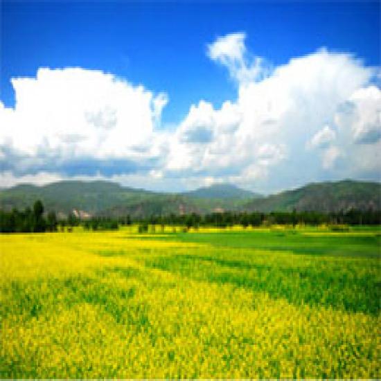 宜昌三峽奇譚一日游直通車