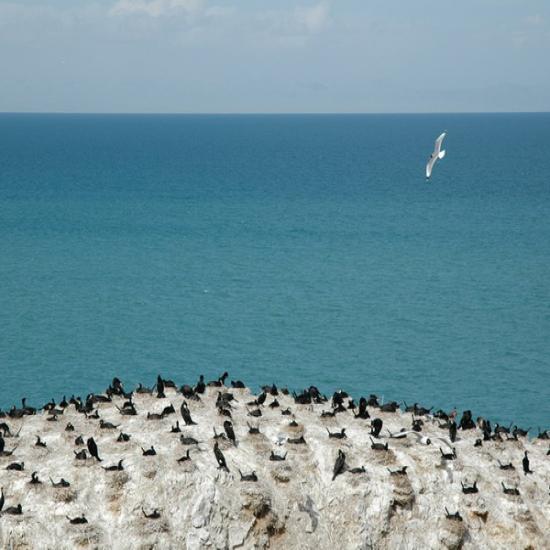 青海湖景區(qū)有哪些島嶼_青海湖大環(huán)線旅游攻略_青海旅游必看攻略