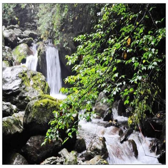 湖北神農架林區有什么好玩的地方_神農架林區哪里最好玩_湖北神農架林區好玩的地方推薦